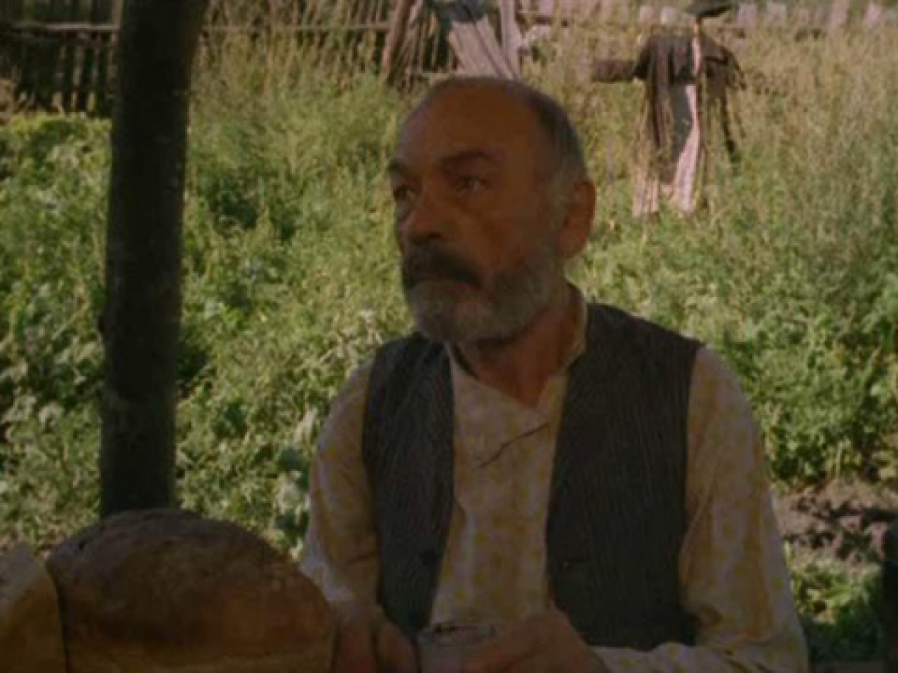 Волчья кровь - 1995: актеры, рейтинг и отзывы на канале Дом кино