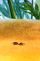 Путешествие муравья