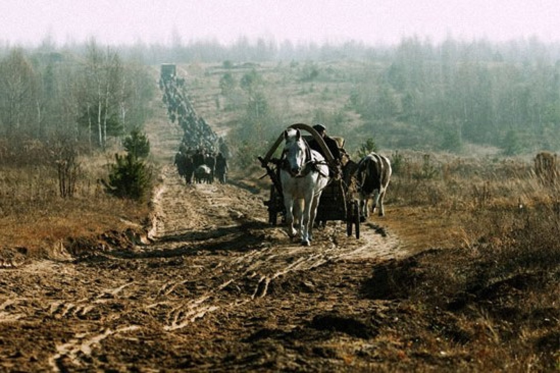 Актеры Наркомовский Обоз Фото