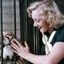 Укротительница тигров
