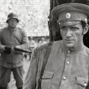 Рудобельская республика, Виторган