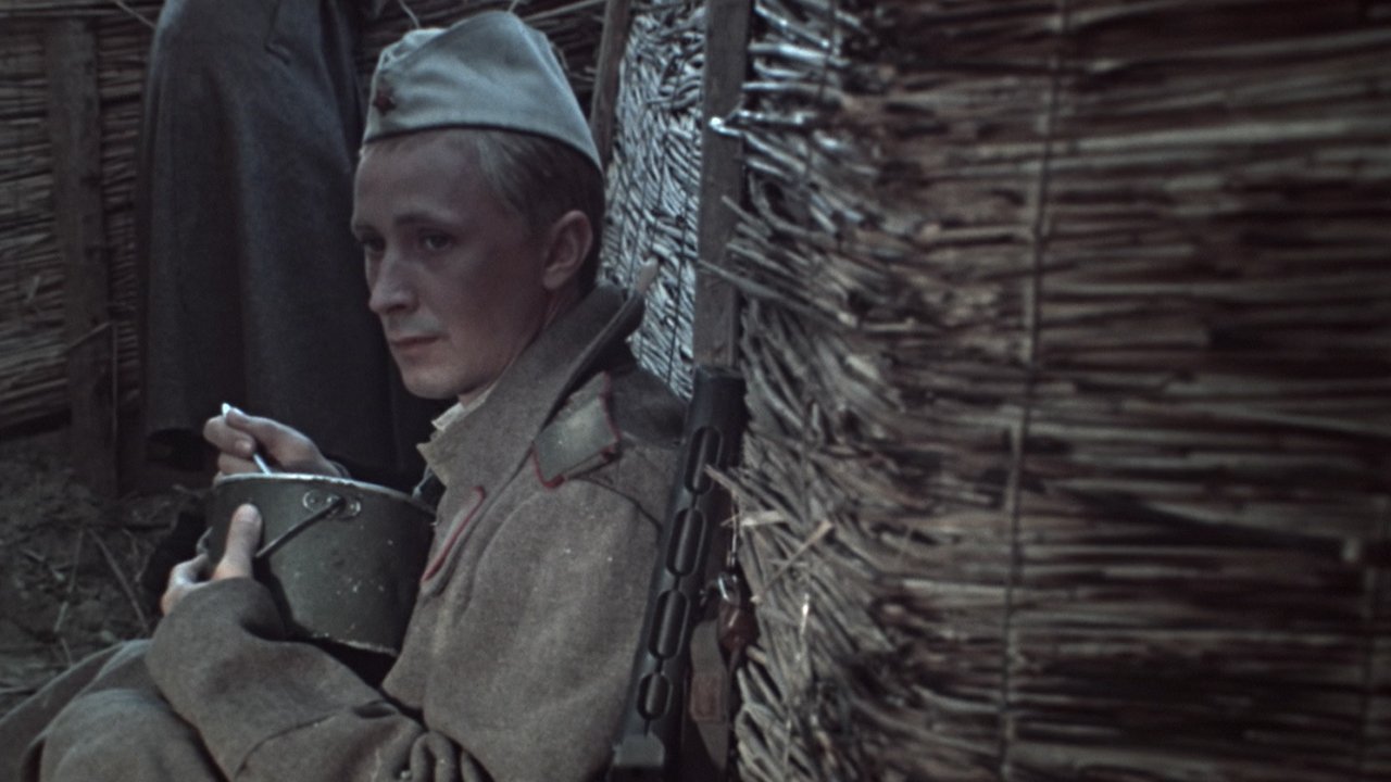 Военно-полевой роман