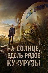 На солнце, вдоль рядов кукурузы