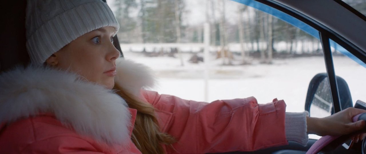 Новогодний шеф