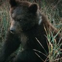 Особенности национальной охоты