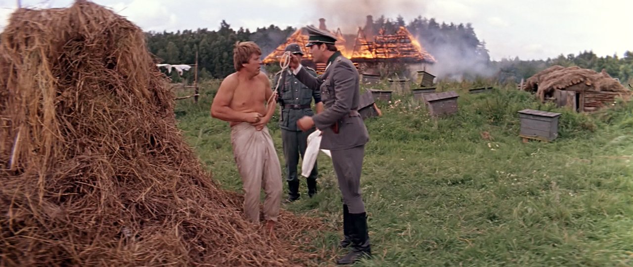 Дачная поездка сержанта Цыбули