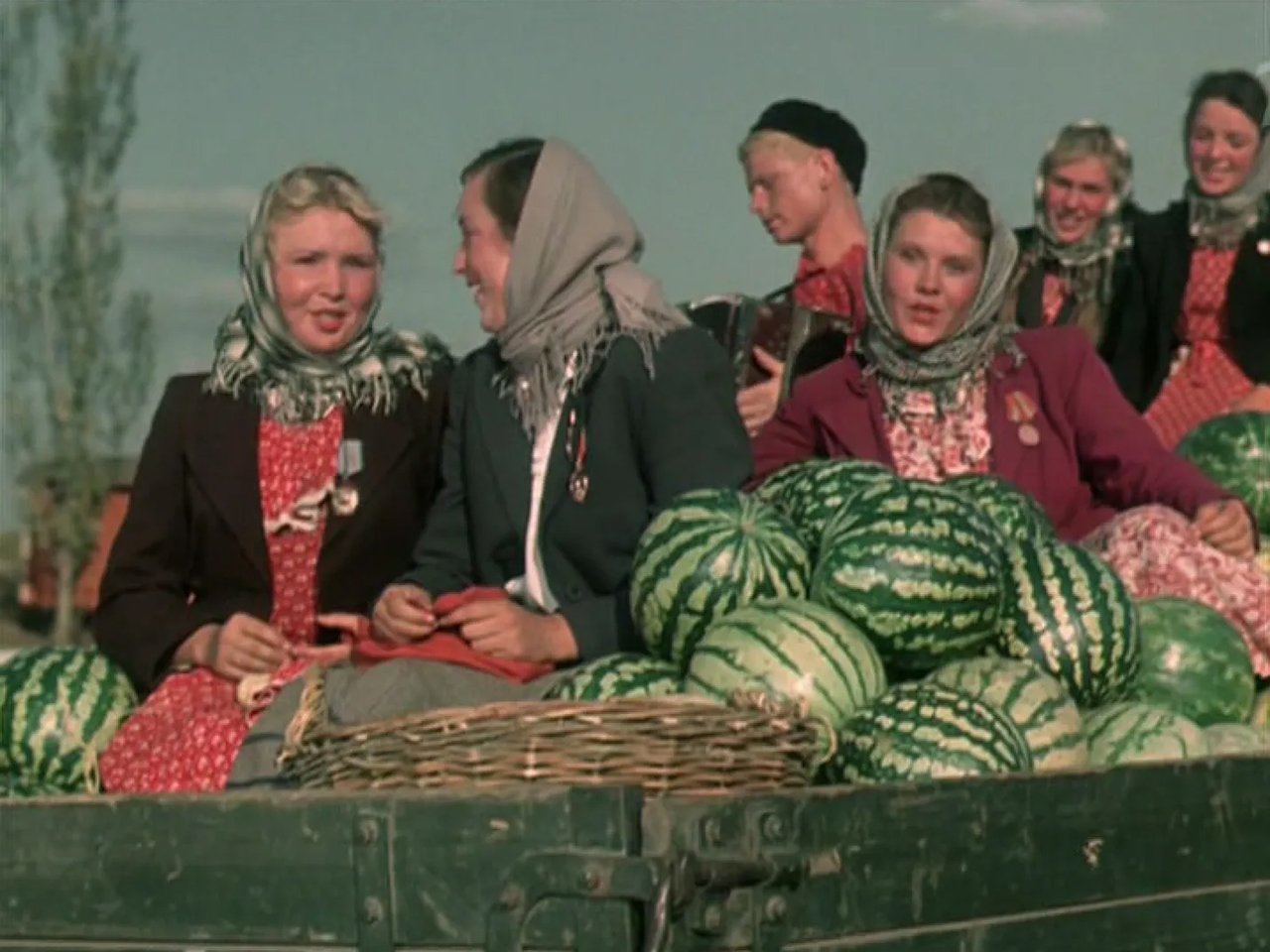 Кубанские казаки